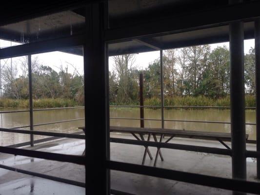 The view of Bayou Lafourche