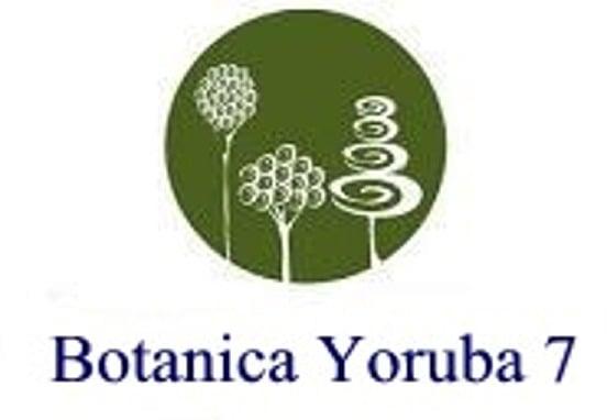 Botanica Yoruba 7