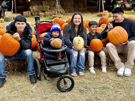 Pick a pumpkin