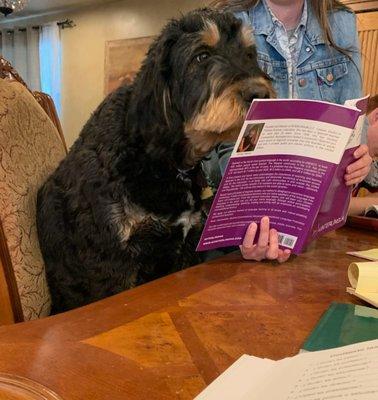 Even dogs want to learn Spanish. 
 Private Class in a Family in South Phoenix