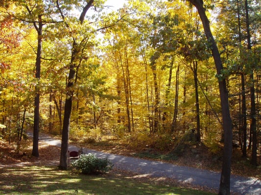 Fall view from Suite