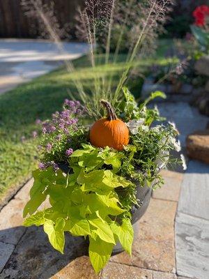 Fall Perennial Planter