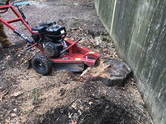 Stump Grinding, Stump Removal