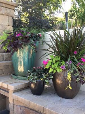 Summer color around the outdoor fire place