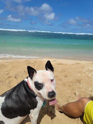 Beach day!