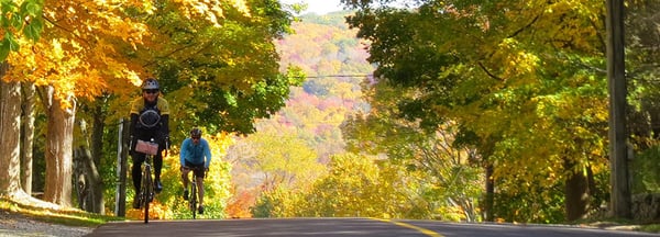 Fall Foliage Tours