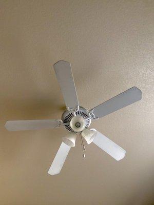 Large fan put up in master