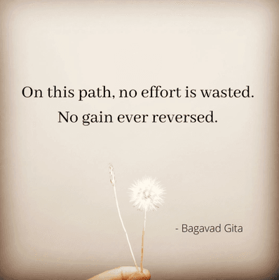 Life is an experiment.  We never know what's going to happen.  But no effort is wasted on our path, even if we feel we have 'failed.'