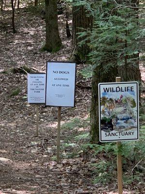 Knights Hill Wildlife Sanctuary road off the Lyon Brook Trail