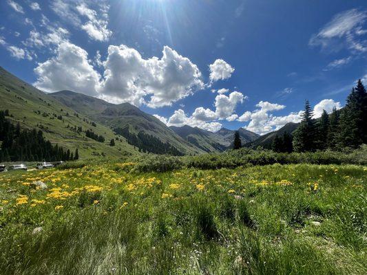 Alpine Loop