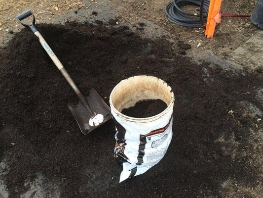 Filling up the bucket (missing its bottom), to fill up the bag.  Bags and tools are provided for free.