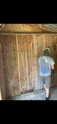 Daniel hard at work on a shed demolition!  Give us call today and we will provide a helpful and friendly service!