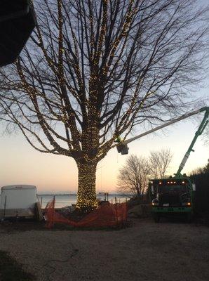 Holiday Lighting in Grosse Pointe, MI