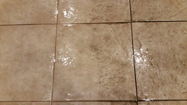 Tile & Grout Cleaning