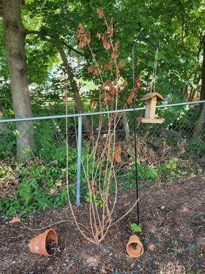 Plymouth Nursery & Landscape