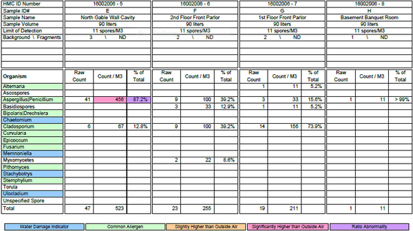 Example of a mold laboratory report