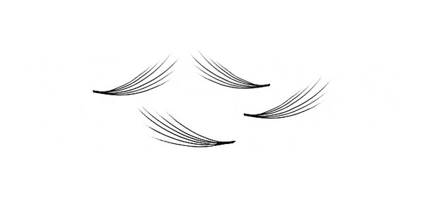 Pre-Made Volume Lashes - Available to Order