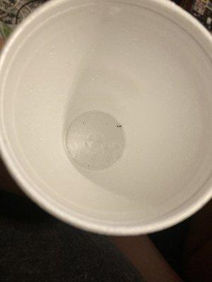 Black specs in my cup.