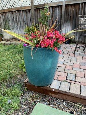 Flower pot arrangement