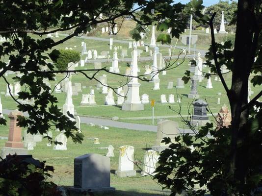 A lovely cemetery