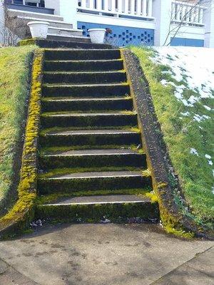 Before picture moss covered staircase. Pressure Washed to clean.