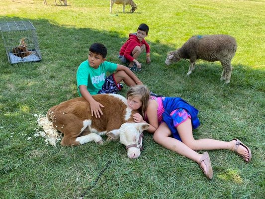 Enjoying some farm animal visitors.