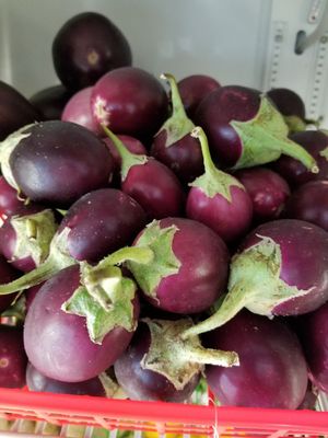 Fresh Vegetables ( Indian Eggplants)