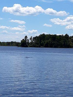 Pamlico River