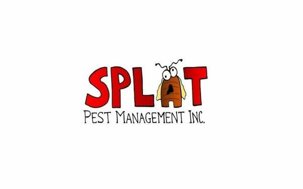 Splat Pest Management