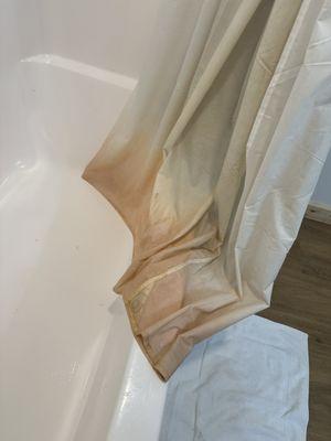 Shower curtain liner