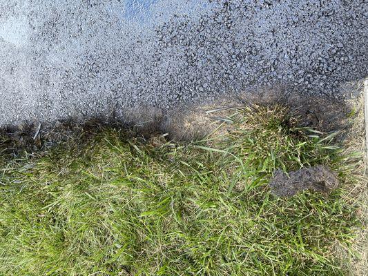 He sprayed our grass because he refused to use protective barriers even though he said he would.