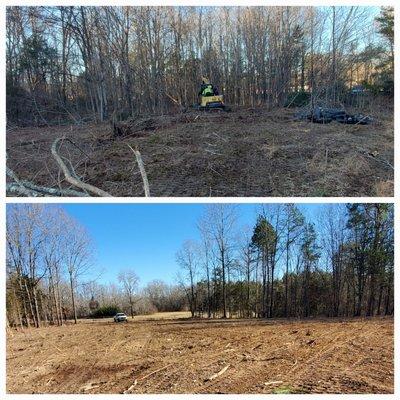 .75 acre lot clear