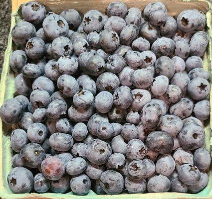 Star Farm Blueberries