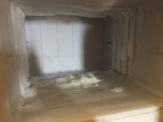 Unsanitary freezer