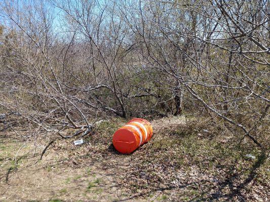 Is this a park or a dump?