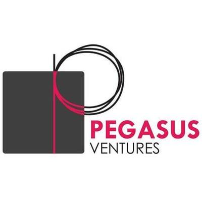 Pegasus Ventures Michigan