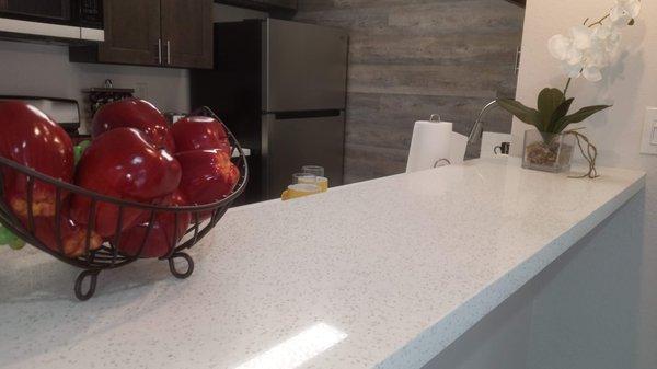 Quartz countertops and Stainless Steel Appliances