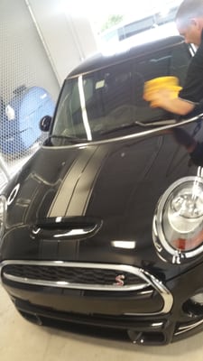 Vinyl decal on my 2015 Mini Cooper S *AWESOME WORK*