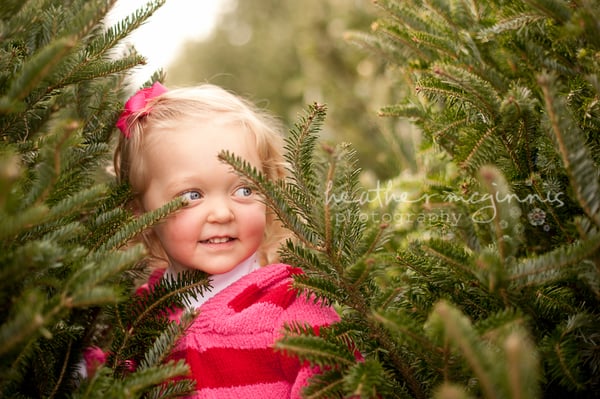 Baby & Toddler Photography