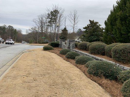 We can help you with your pine straw and shrubs trimming and yard cut call us full insured company