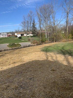 A nice lawn grade for a customer