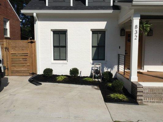 Simple Garden Bed Plants and Mulch