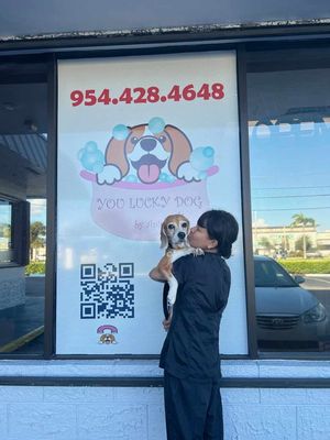 passionate dog groomer for lovely paws.