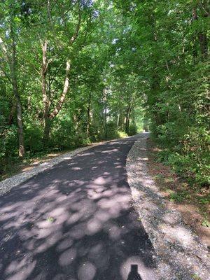 Thankfully this trail has a lot of shade.