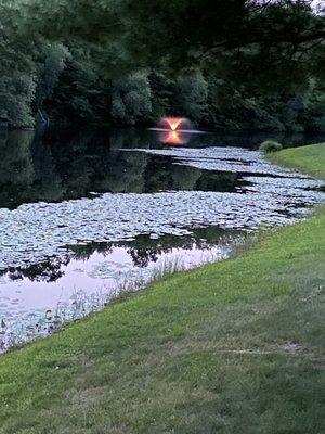 The lighted fountains in the ponds add to the ambiance