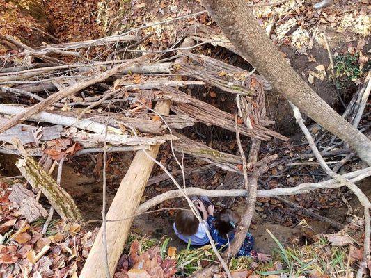 Nature fort building