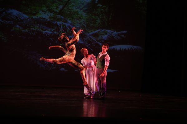 Ballet Ariel's original 'Rikki-Tikki-Tavi'