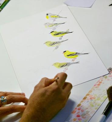 Keith was painting these goldfinches for the book Birds of the Sierra Nevada. Photo by Paul Kienitz