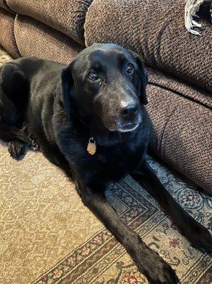 This is how she will look after a seizure.  Her eyes show it all. She will have that blank stare.  She slept the entire day and night.