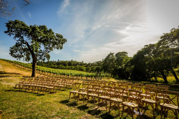 Our ceremony site was at the bottom of the vines opposite from the villa.  Trees to one side, grape vines to the other, and facing a pond!